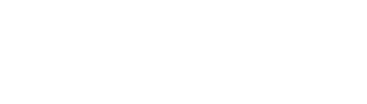 EPILAB S