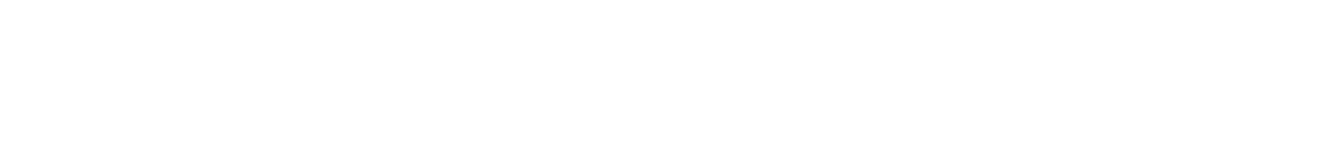 DISCOVERY PICO SERIES