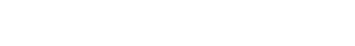 Q PLUS STAR 1