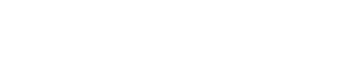 SLIMSPEC