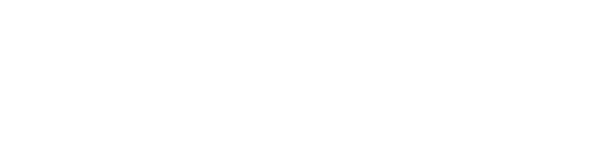 MULTIPULSE HO PLUS